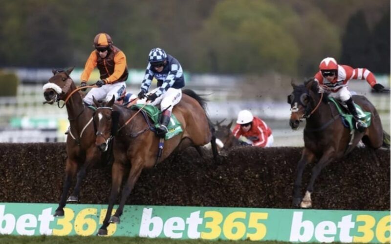 horse racing revision bet365