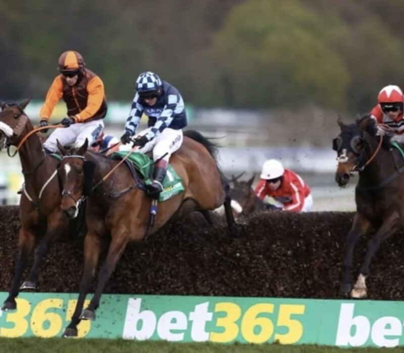 horse racing revision bet365