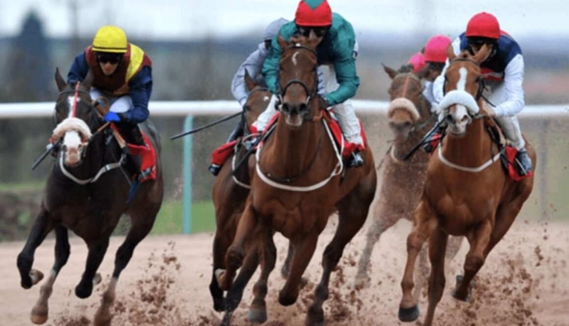 horse racing tiara bet365