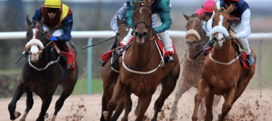 horse racing tiara bet365