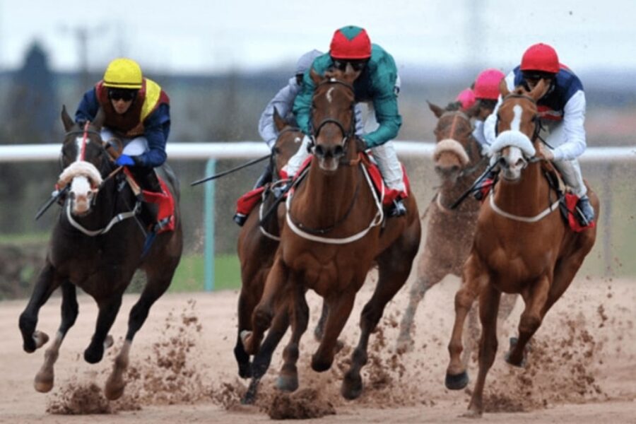 horse racing tiara bet365