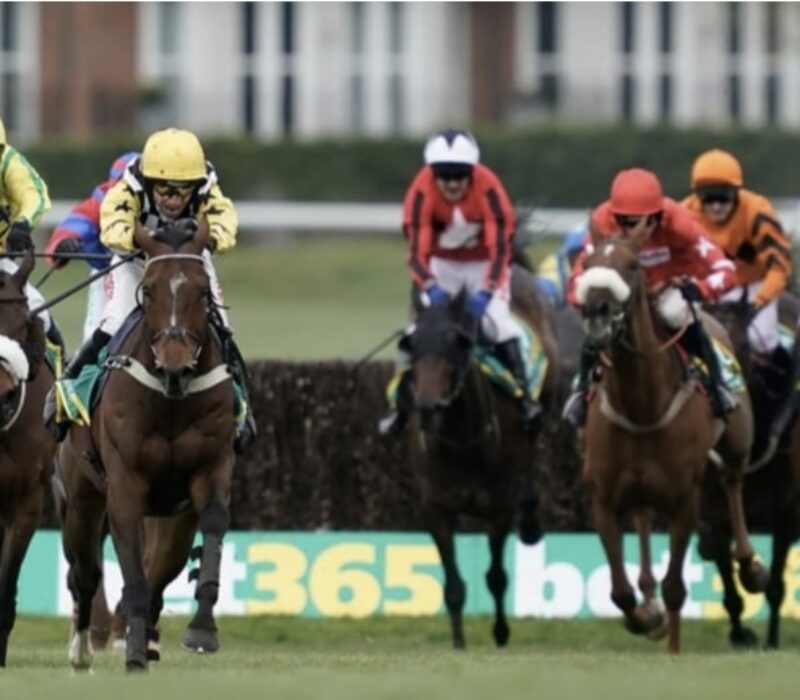 horse racing walbank bet365 (1) horse racing walbank bet365 (1)