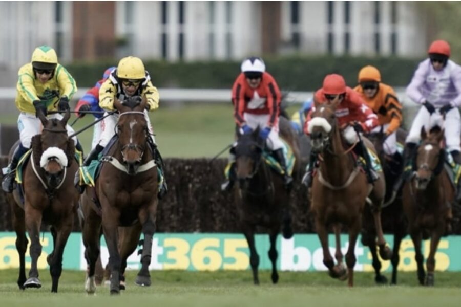 horse racing walbank bet365 (1)