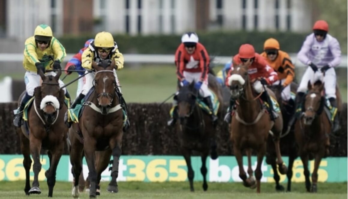 horse racing walbank bet365