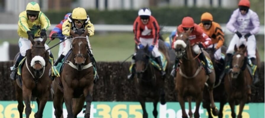 horse racing walbank bet365