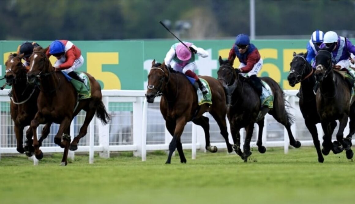 maktoob horse racing bet365