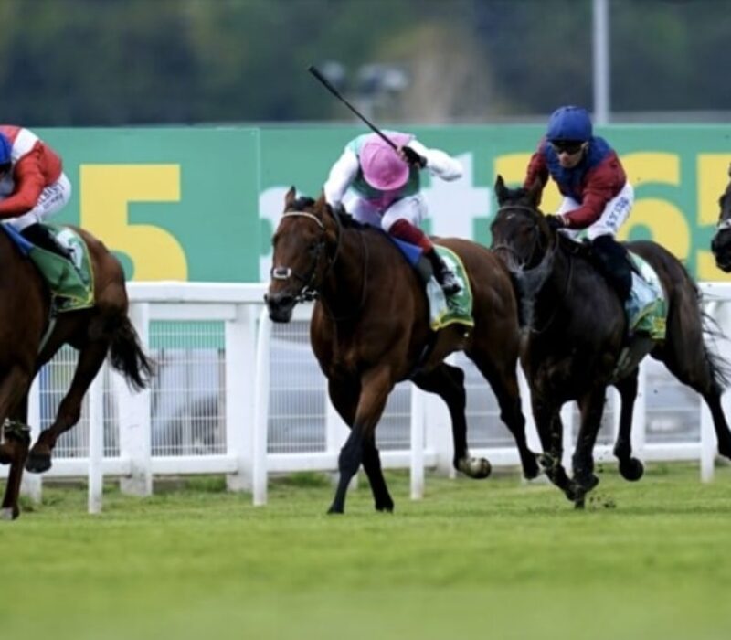 maktoob horse racing bet365 maktoob horse racing bet365