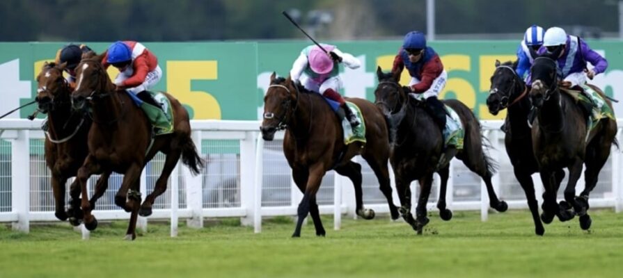 maktoob horse racing bet365