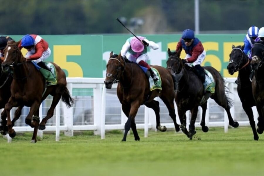 maktoob horse racing bet365