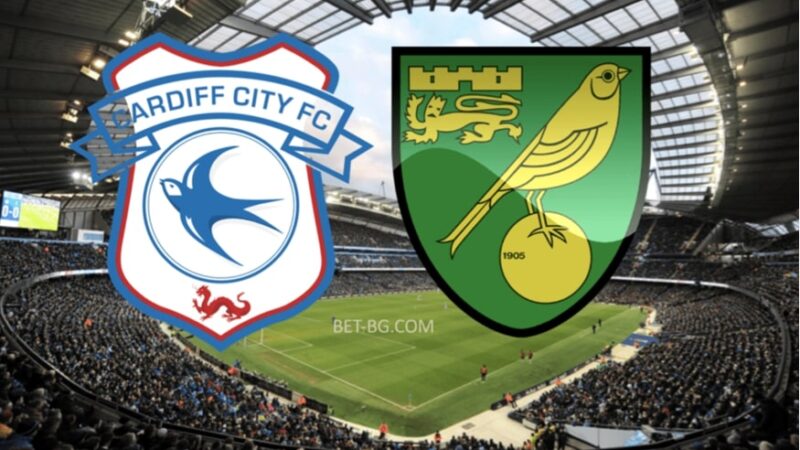 Cardiff City - Norwich bet365