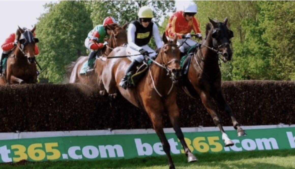 horse racing ham and jam bet365