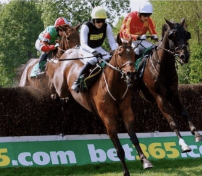 horse racing ham and jam bet365