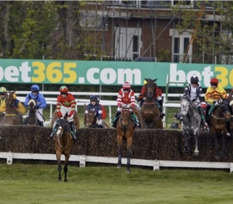 princeville horse racing bet365 princeville horse racing bet365