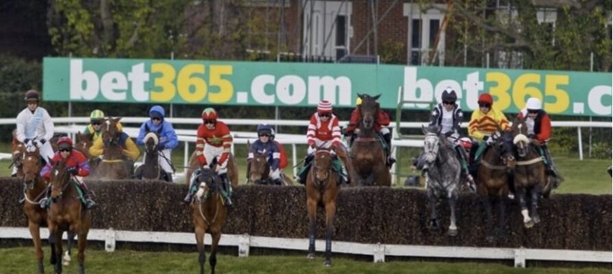 princeville horse racing bet365