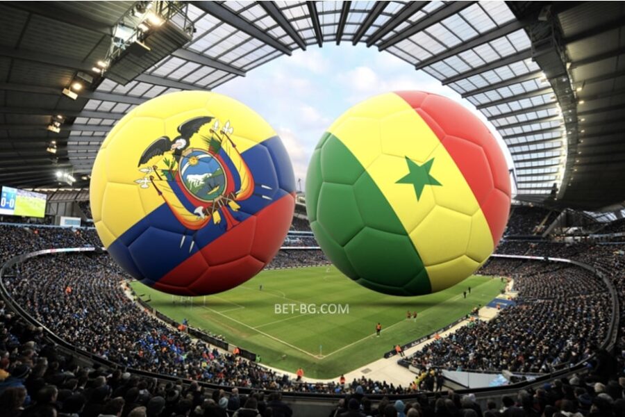 Ecuador - Senegal bet365 (1)