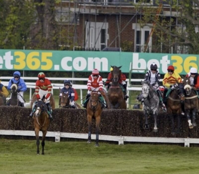 Boston City Horse Racing bet365 Boston City Horse Racing bet365