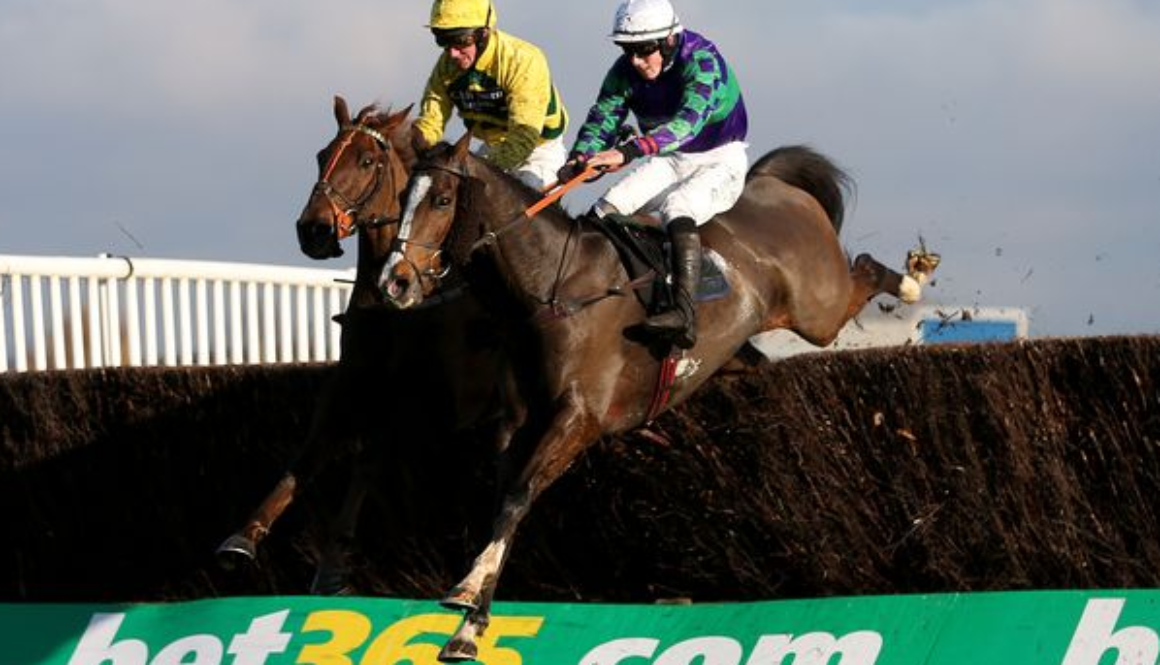 Horse Racing Brand New bet365