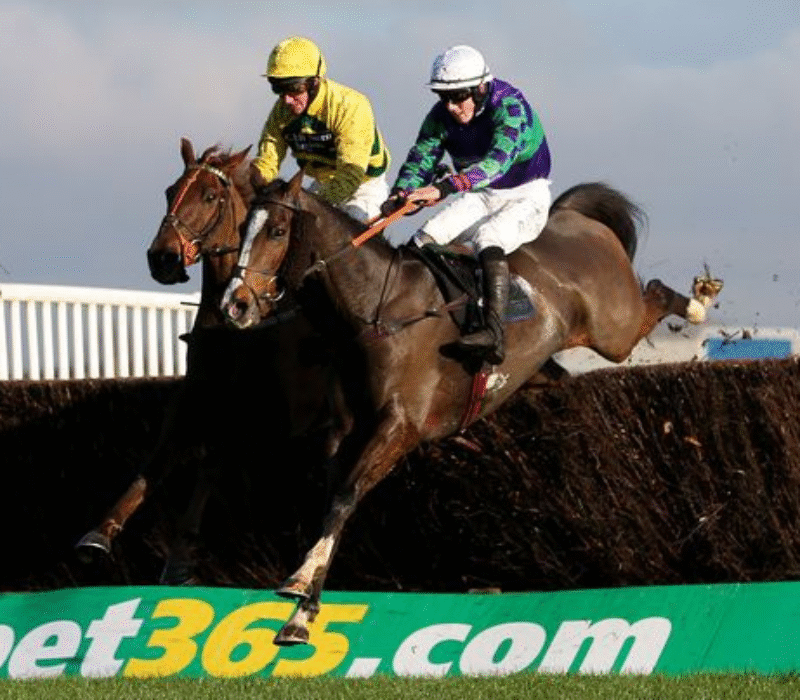 Horse Racing Brand New bet365 Horse Racing Brand New bet365