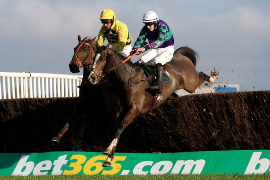 Horse Racing Brand New bet365