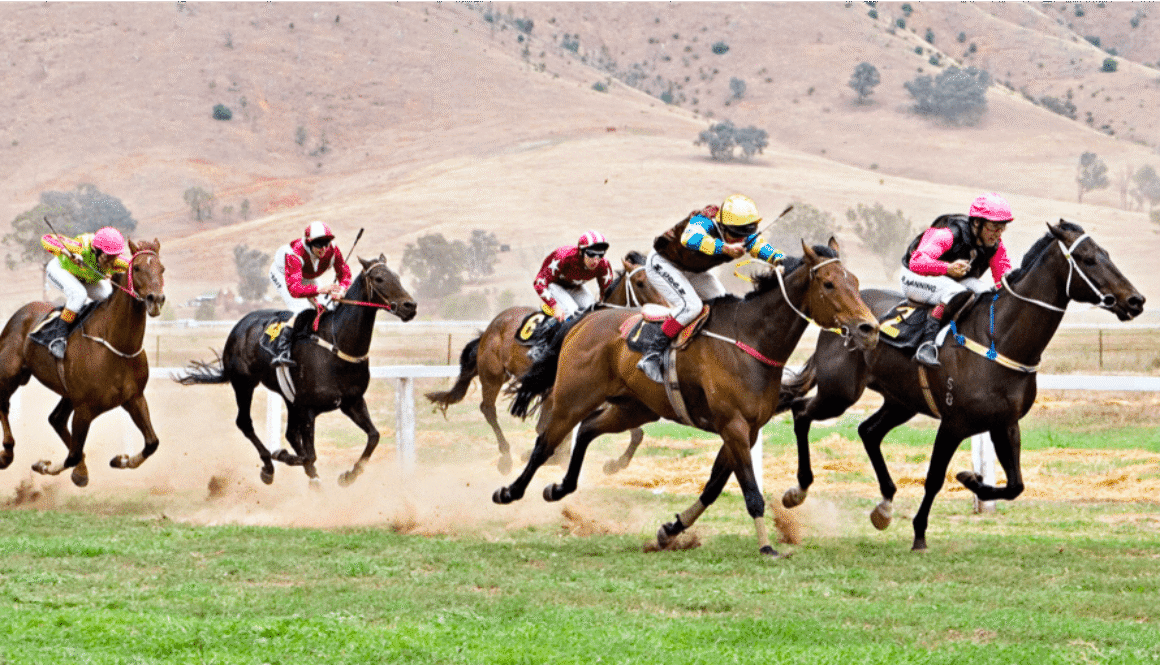 Kiko horse racing bet365