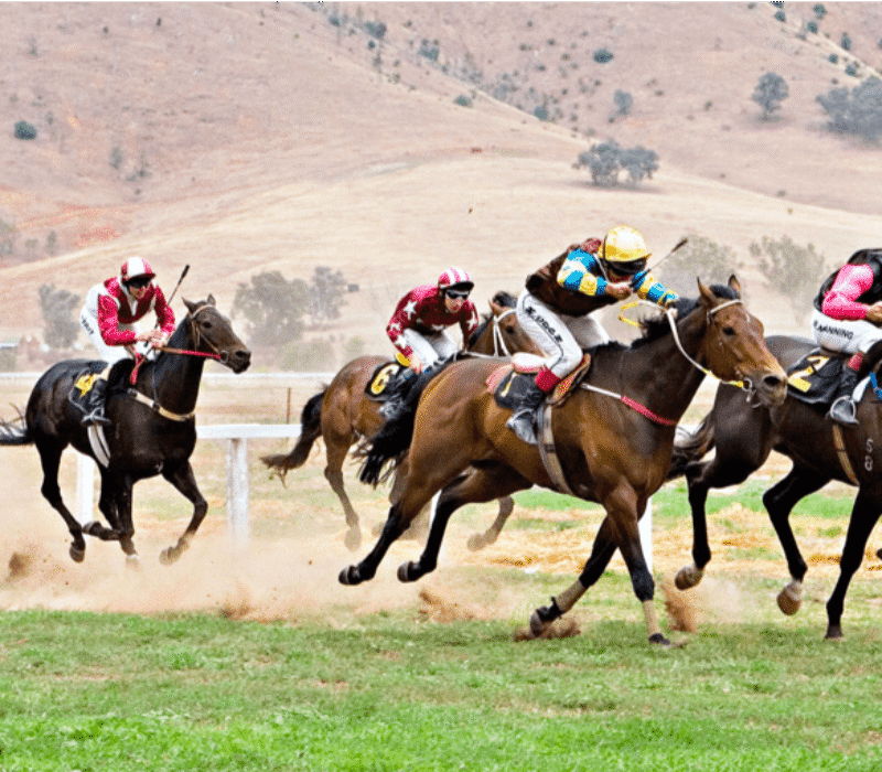 Kiko horse racing bet365 Kiko horse racing bet365