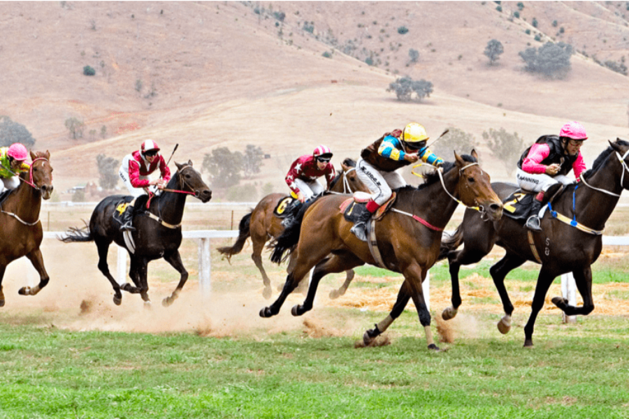 Kiko horse racing bet365