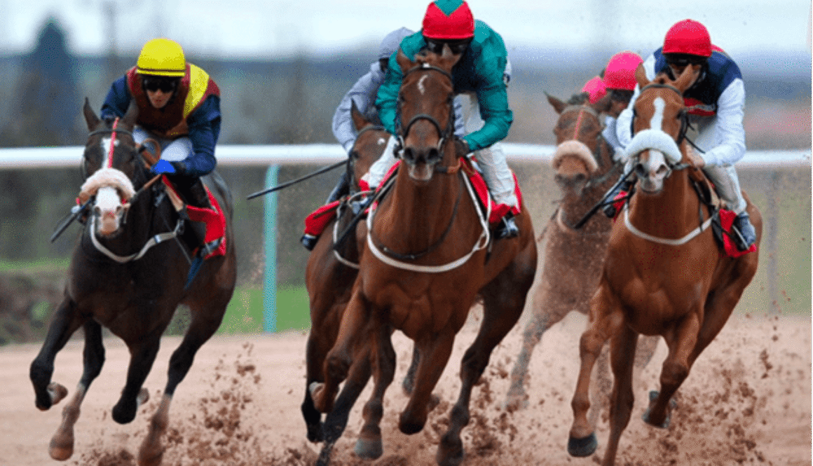 Skywriter horse racing bet365