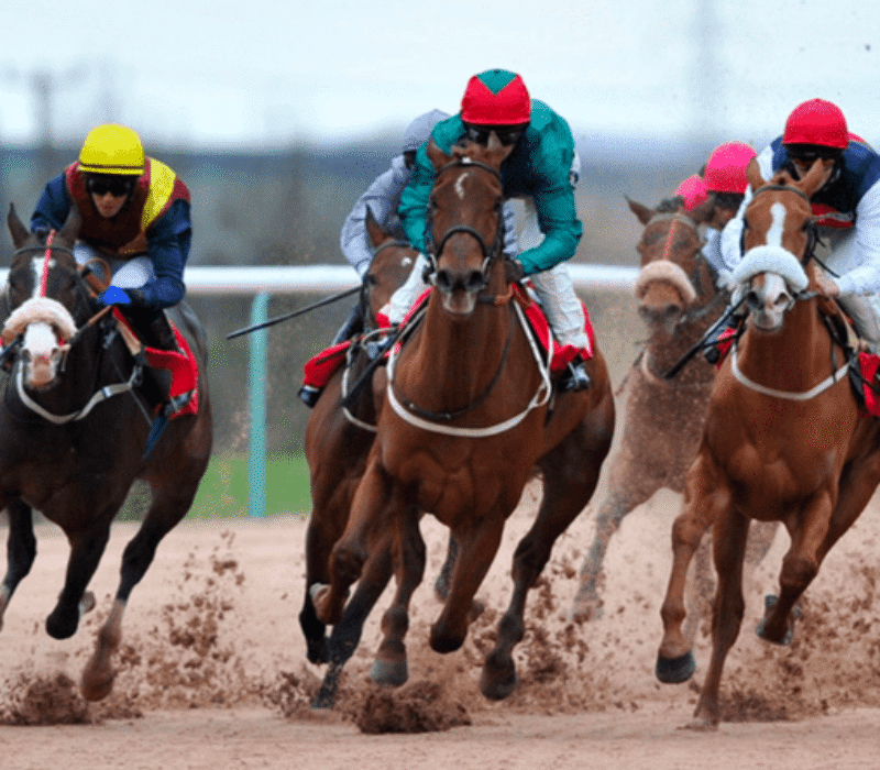 Skywriter horse racing bet365 Skywriter horse racing bet365