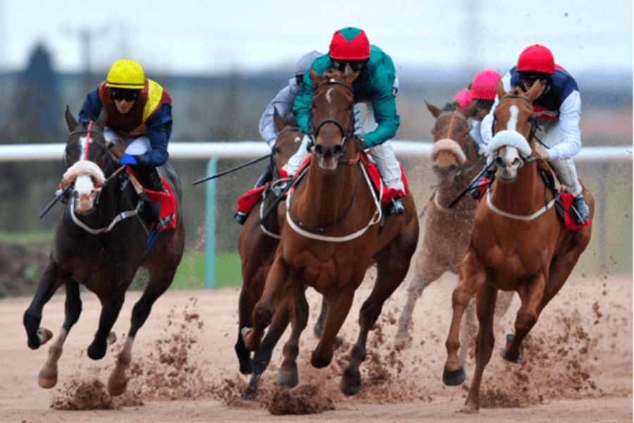 Skywriter horse racing bet365