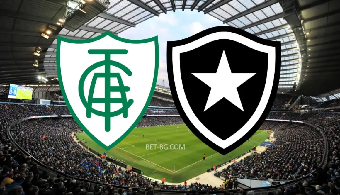 America MG - Botafogo bet365