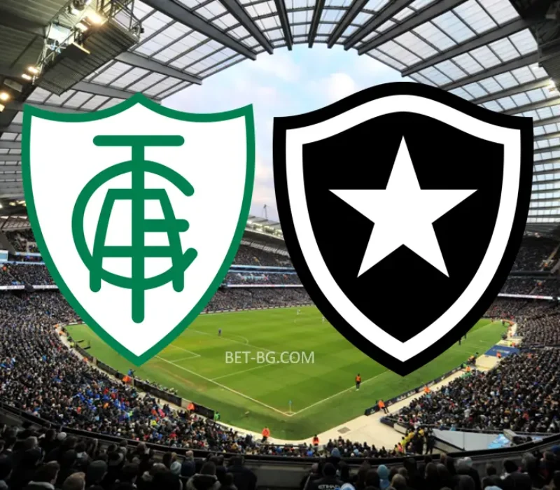 America MG - Botafogo bet365