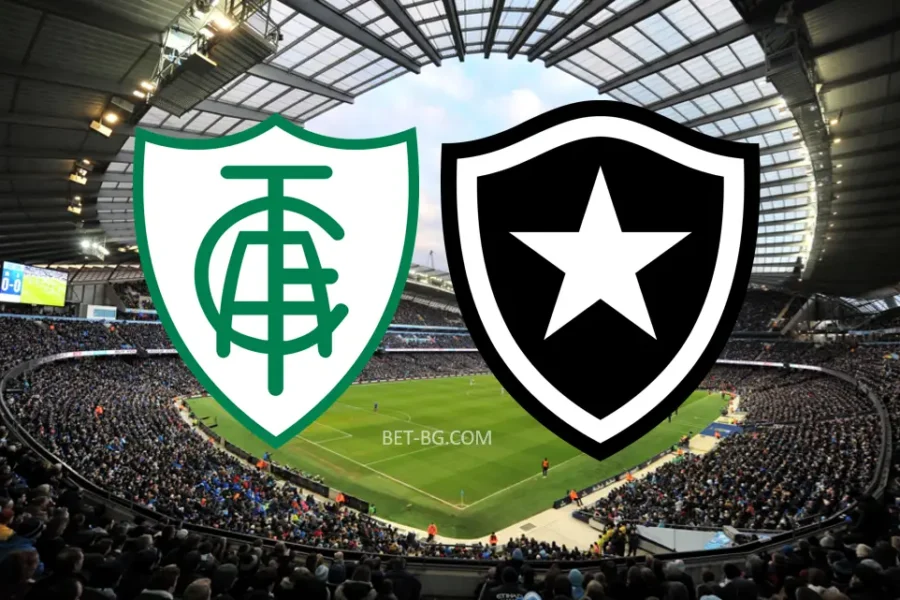 America MG - Botafogo bet365