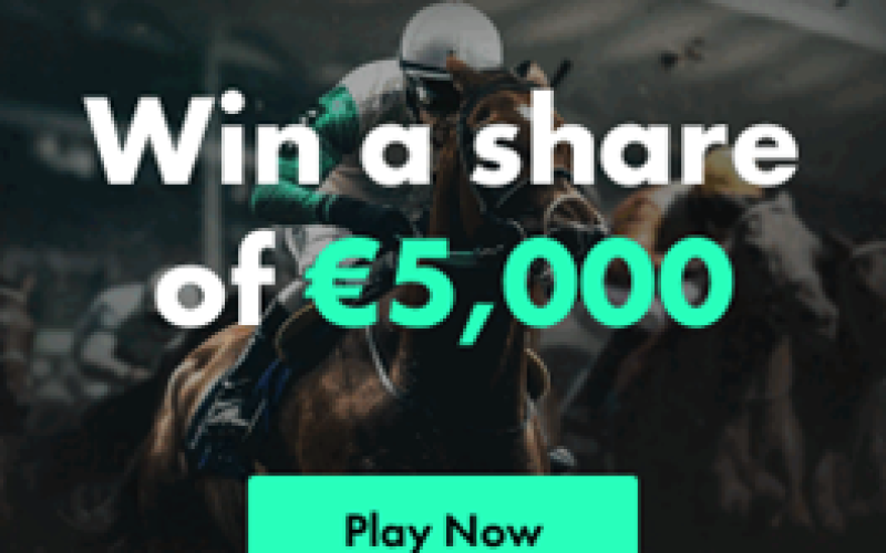 bet365 Poker - Cheltenham Sweepstake