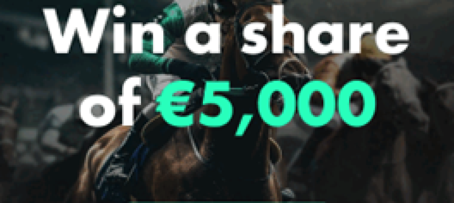 bet365 Poker - Cheltenham Sweepstake