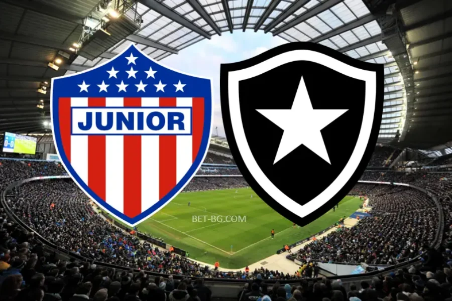 Junior - Botafogo bet365 Junior - Botafogo bet365