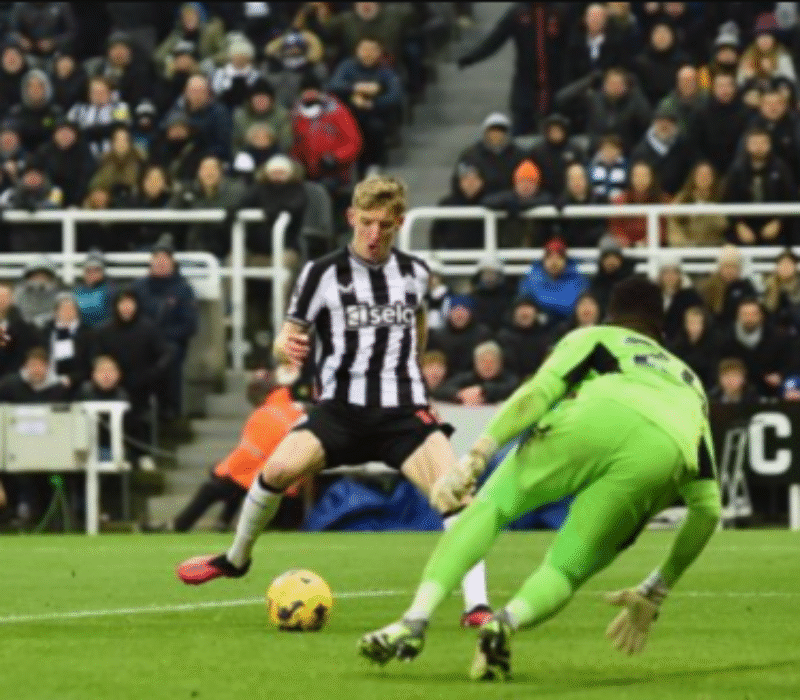 Newcastle United - Wimbledon bet365 Newcastle United - Wimbledon bet365