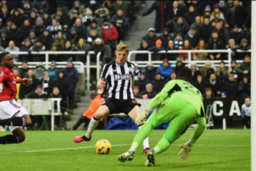 Newcastle United - Wimbledon bet365 Newcastle United - Wimbledon bet365