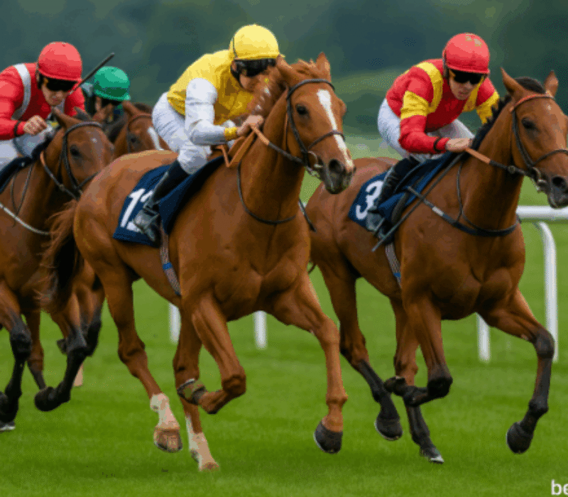 bet365bg bet365bg