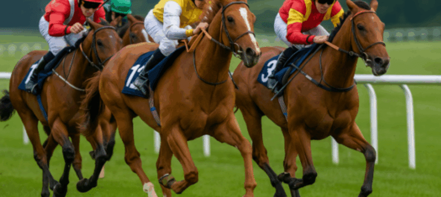 bet365bg
