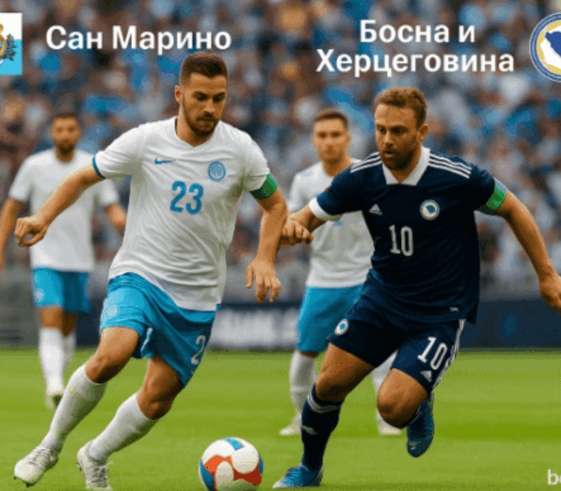 bet365 bet365